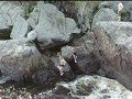 sebright - Me jumping into the water