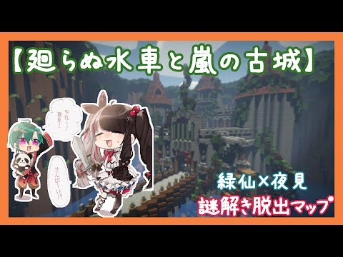 動画