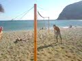 Milos September 2007..vlakeies stin Agia Kiriaki..ola ta lefta einai sti mesi tou video..