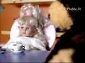 imitando lo que ven imitando lo que ven