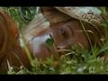  - MovieZen Video