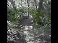 SST Trail at Boyette