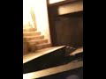 The mummy - Orlando fl