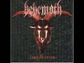 Behemoth