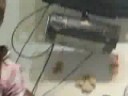 el momento de la boludez llego!