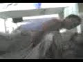 gato y loayza