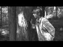 Sobot�n 2007 - plamen zapomneni