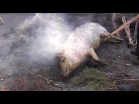 Burn the pigs 2 (Lugu Lake, China)