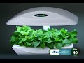 AerogrowTimelapse
