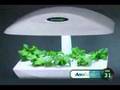 AerogrowTimelapse