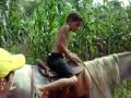 videos de Rolé de égua