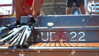 whale sharks ohmygosh!! :)