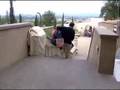 arezzo no a passeggini e neonati