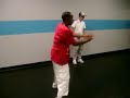 kenny g, lil buck, and ryan haskett playing around