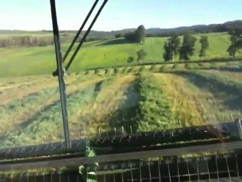 swathing - We finished the last field of our first cutting today. Here is a little video of that and a quick tour of part of the farm.