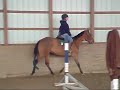 Saddle River Farm- POTLUCK