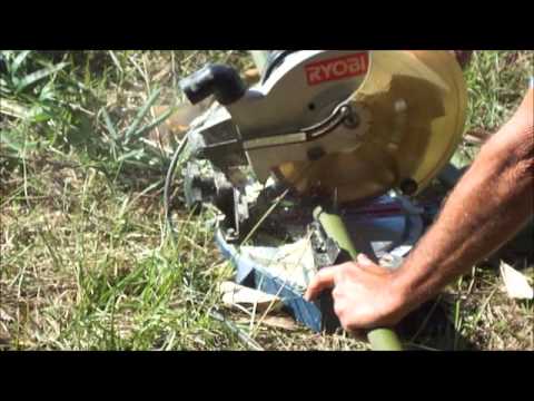 how to harvest bamboo