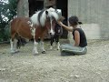 bisoupoons.html