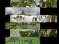 Beautiful Bangkok