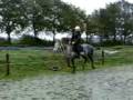videos de springen met beauty (galop)