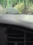 vr6 exhaust clip genie header, TT cat+exhaust