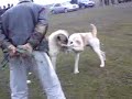 MOV01019.MP4