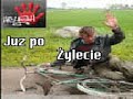 żyleta