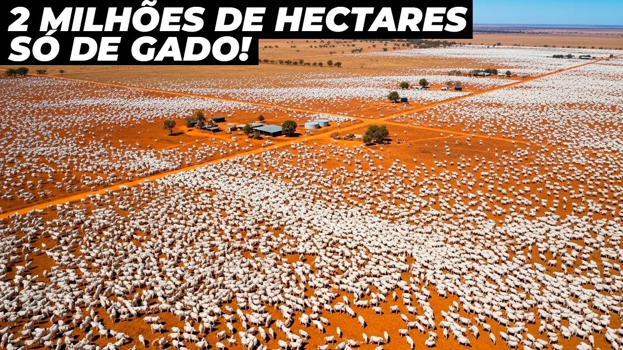 CONHEÇA A MAIOR FAZENDA DE GADO A PASTO DO MUNDO