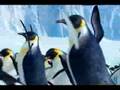 pinguiton.flv