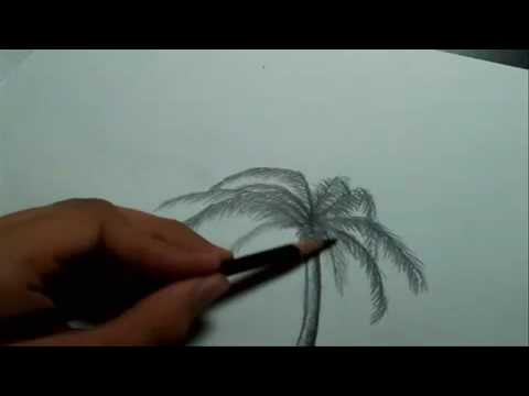 how to a palm tree