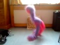 Wuzzle does Hey Mumbo