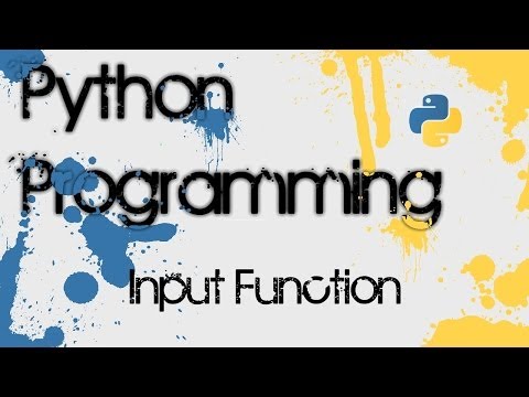 how to provide input in python