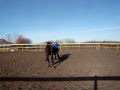 Free pony to a GREAT home.