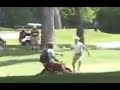 videos de patrick stephens rides motorcycle on golf course , clubs thrown at him