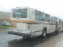 Metro Transit Artic Classic #701 Drive By