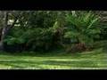 Real Estate In Motion/Helensburgh/ Property Video