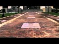 Alabama Football.....The Walk of Champions