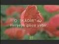 Ölümün Ardından Yeniden Diriliş (Haşir) - www.RisaleForum.com