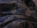 KoKo under the blankets 1