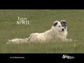 Enjoy Life - Bosnia & Herzegovina Video 2