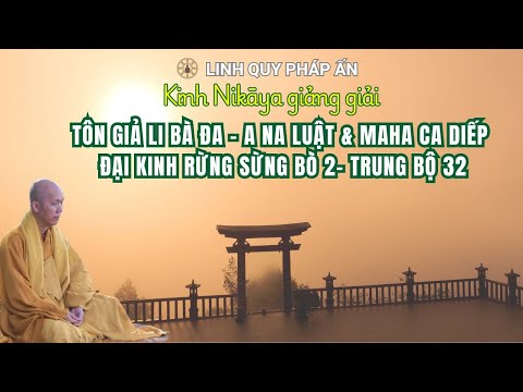 NIKAYA Giảng Giải -Tôn Giả Li Bà Đa - A Na Luật & MaHa Ca Diếp -Đại Kinh Rừng Sừng Bò 2- Trung Bộ 32 NIKAYA Giảng Giải -Tôn Giả Li Bà Đa - A Na Luật & MaHa Ca Diếp -Đại Kinh Rừng Sừng Bò 2- Trung Bộ 32