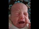 Our preemies Our preemies
