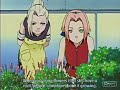 The Party's Just Begun - Naruto Girls