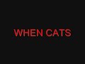 WHEN CATS GO CRAZY AND ATTACK!!!! WHEN CATS GO CRAZY AND ATTACK!!!!