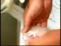 How to cut Kissu or whiting How to cut Kissu or whiting