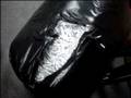 Aníbal mando Su Ganga de Ladrones ha Destruir Documentos en OGP - Nov 20,2008