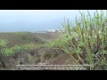 Primer Capítulo Tracking Trans Tramo Agaete Tamadaba