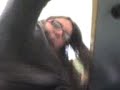 nyfytc
