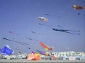 Berck-sur-mer 2008