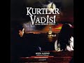 Kurtlar Vadisi Vol.1 Ebruli